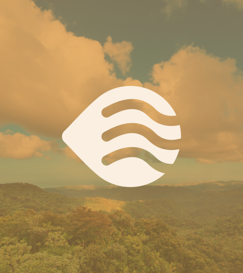 simbolo agua y viento