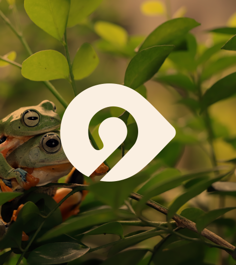 simbolo naturaleza y biodiversidad